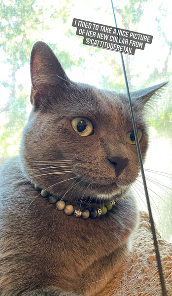 Load image into Gallery viewer, The Russian Blue Collar
