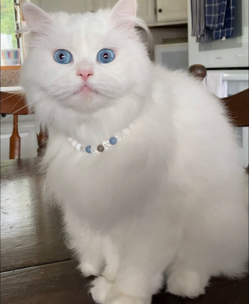 Load image into Gallery viewer, White Persian Collar
