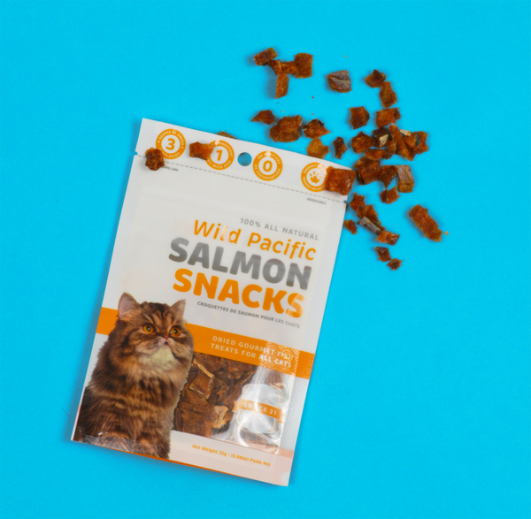 Load image into Gallery viewer, Salmon Snacks
